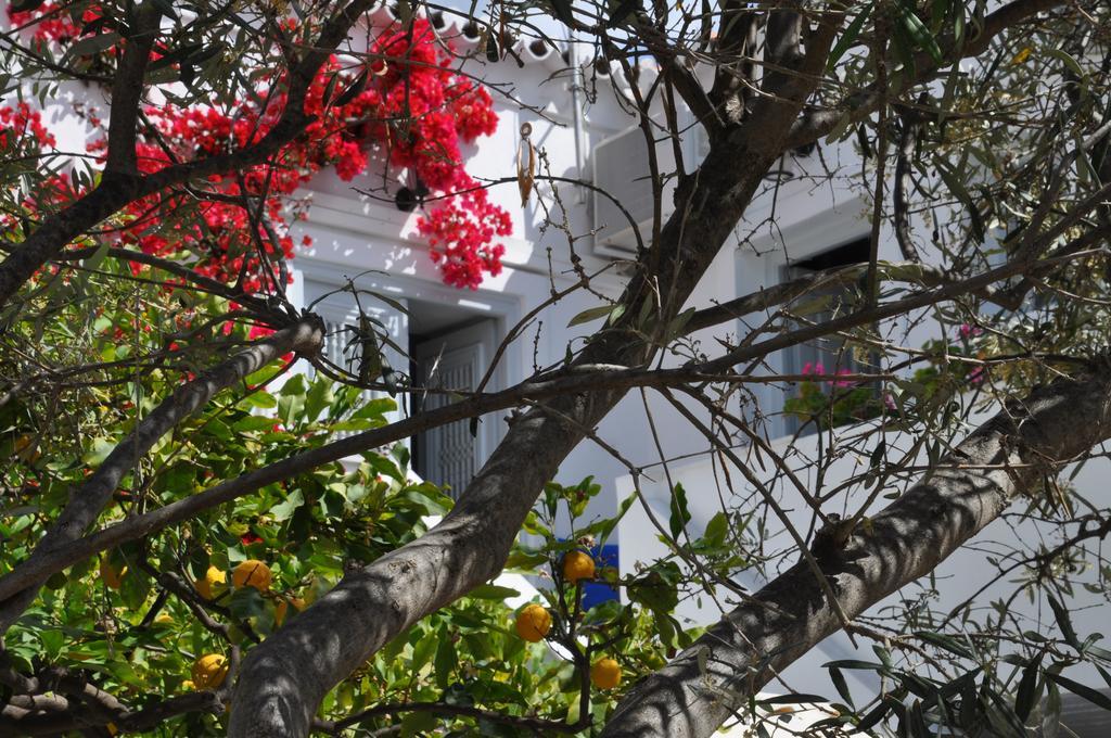 Villa Christina Spétses Exteriör bild